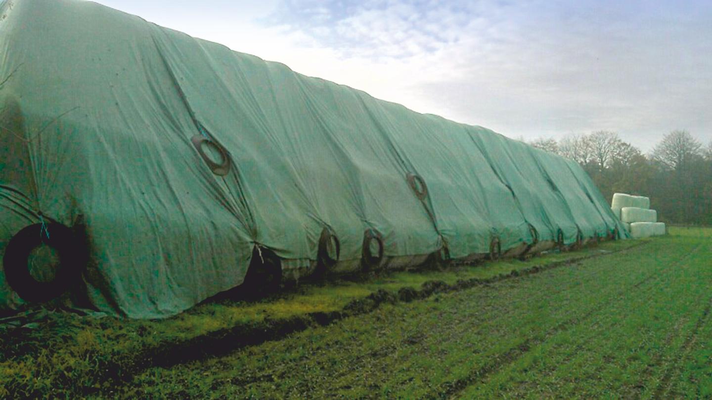 Grüne Strohschutzvliese als Schutz vor Witterungseinflüsse über Stroh- und Heuballen gezogen