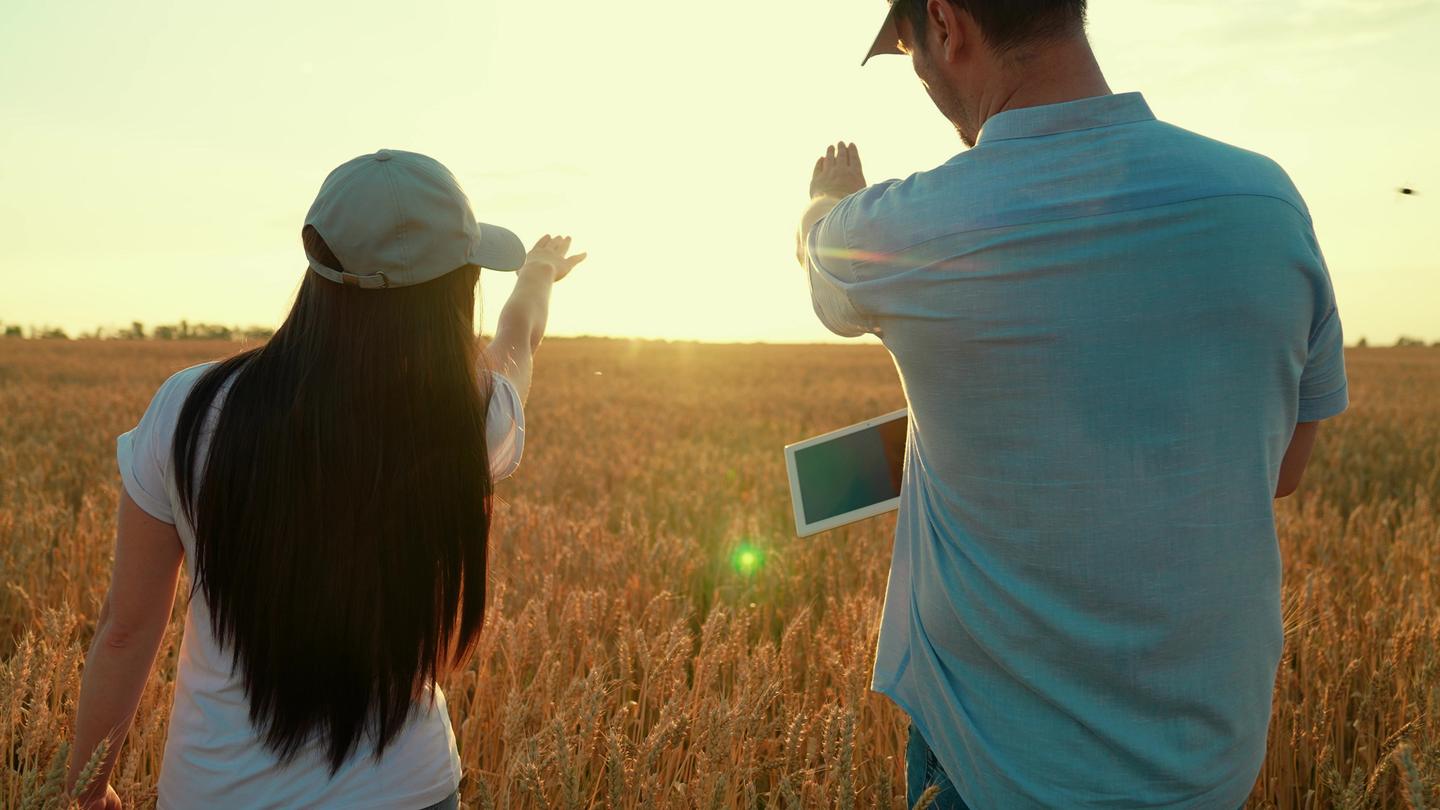 Zwei Personen stehen vor einem Getreidefeld.