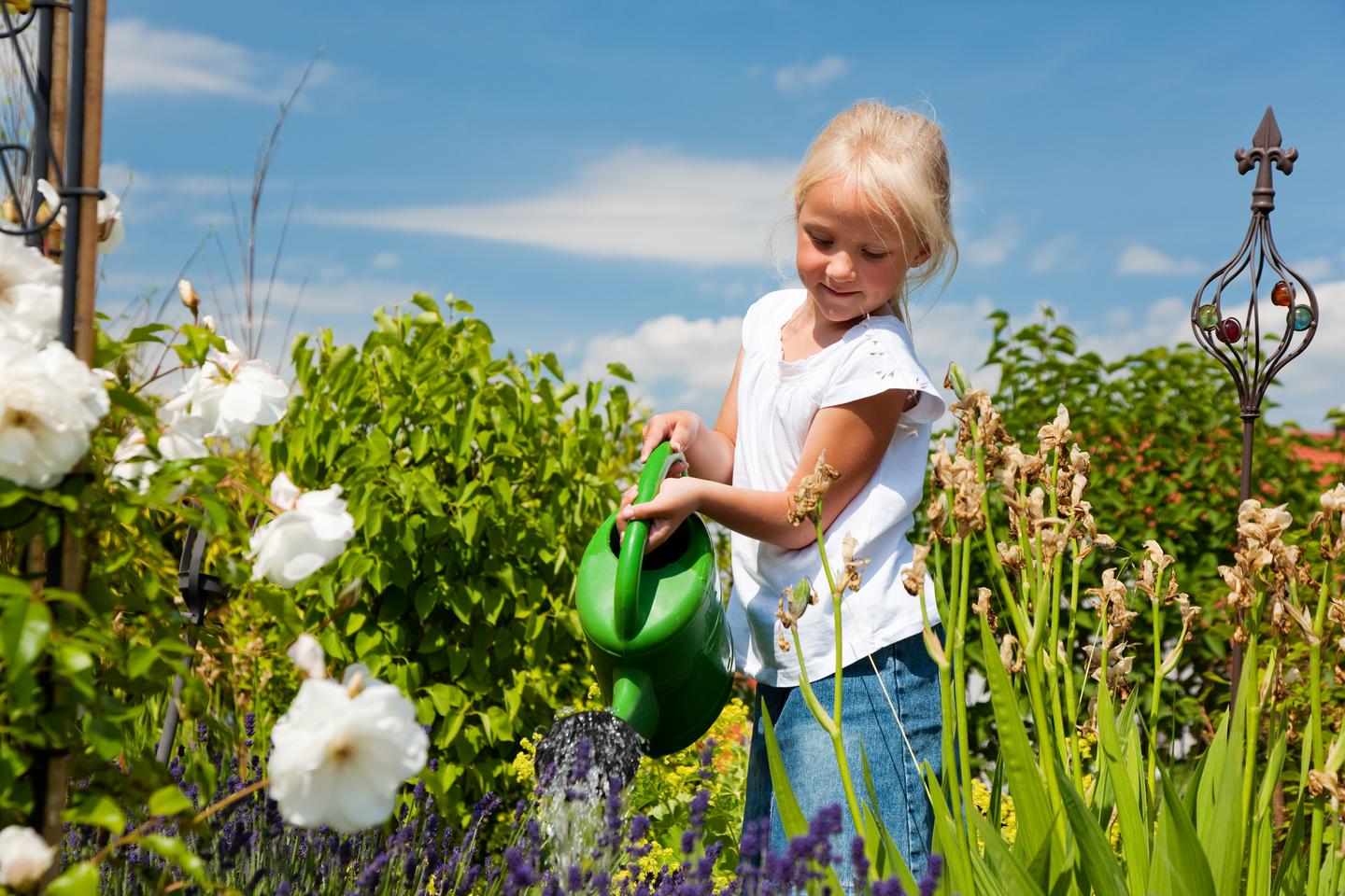 Ein Kind gießt einen Garten mit einer Gießkanne.