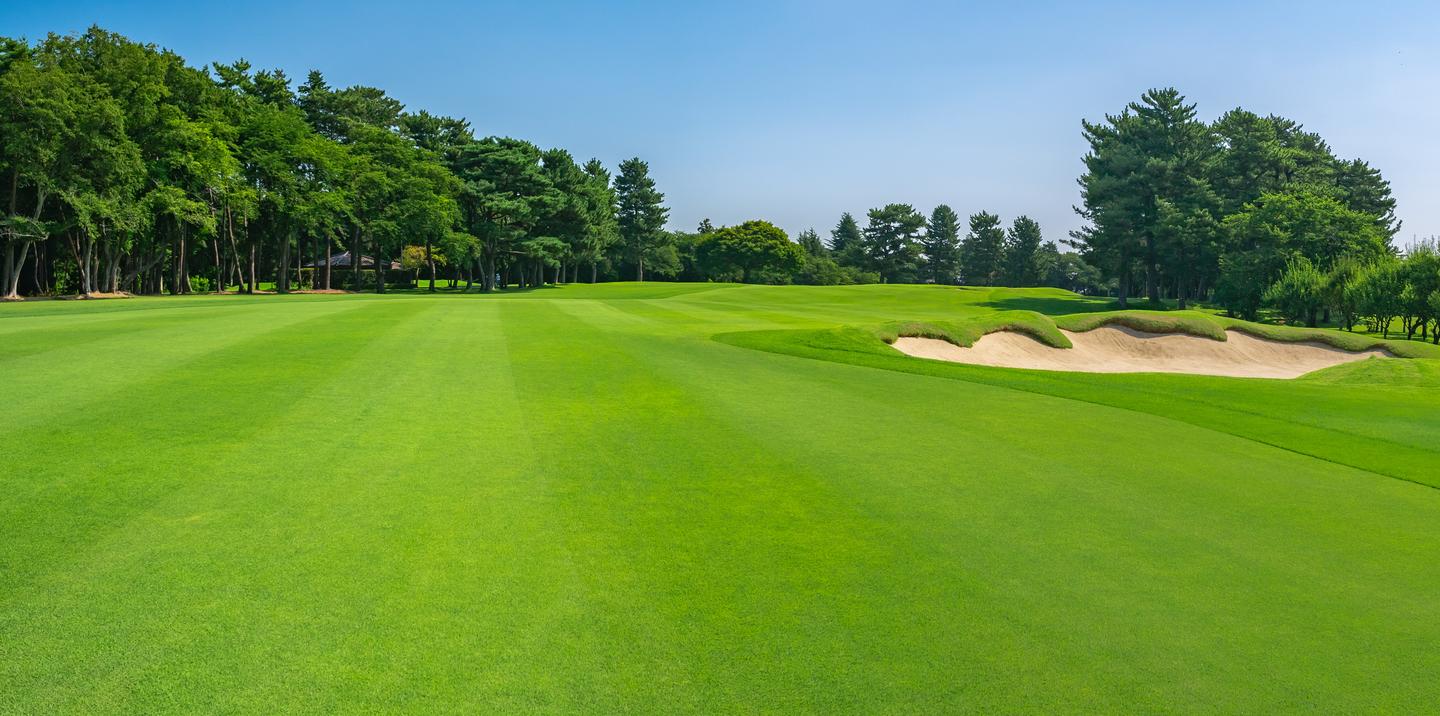 Golfplatz mit gepflegtem Rasen und blauen Himmel