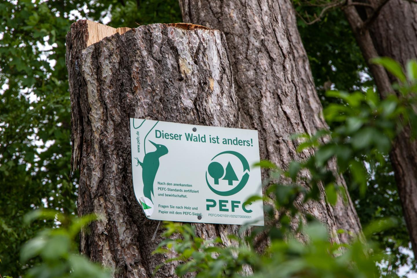 Baum mit Schild mit der Aufschrift PEFC