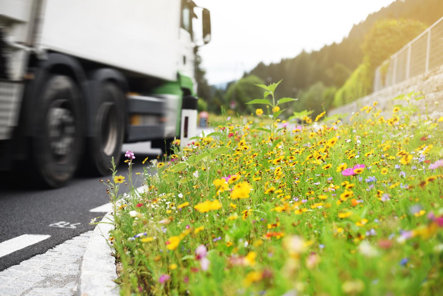 Ein Lkw fährt auf einer Strasse mit Blumen am Rand