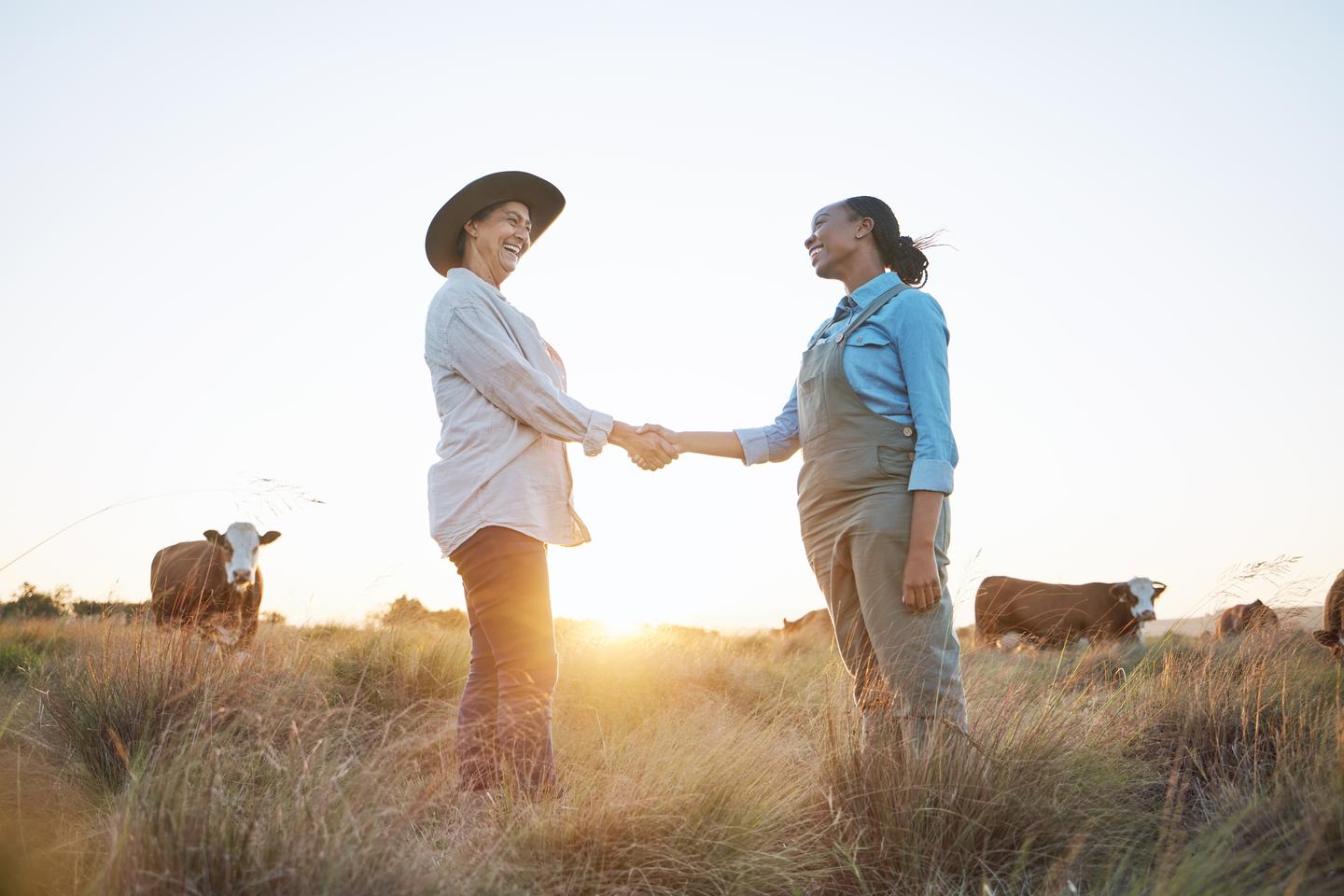 Zwei Frauen stehen auf einem Feld mit Kühen und schütteln sich die Hände.